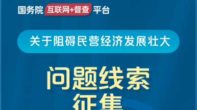 我要操,网站国务院“互联网+督查”平台公开征集阻碍民营经济发展壮大问题线索